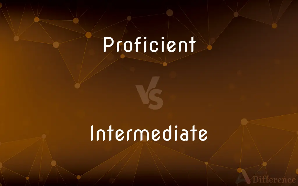 Proficient vs. Intermediate — What's the Difference?
