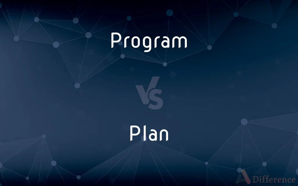 Program vs. Plan — What's the Difference?