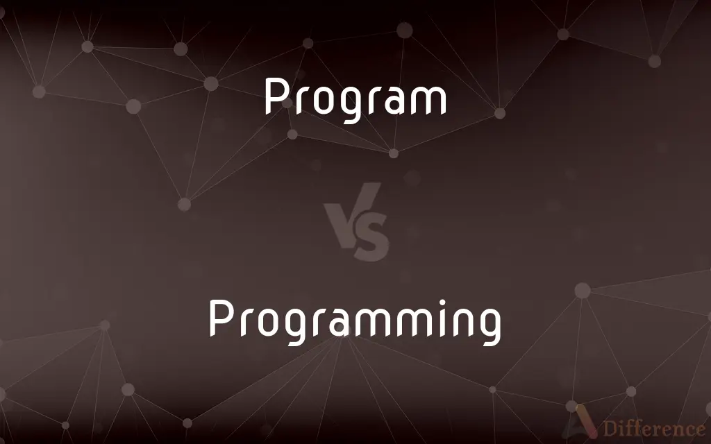 Program vs. Programming — What's the Difference?