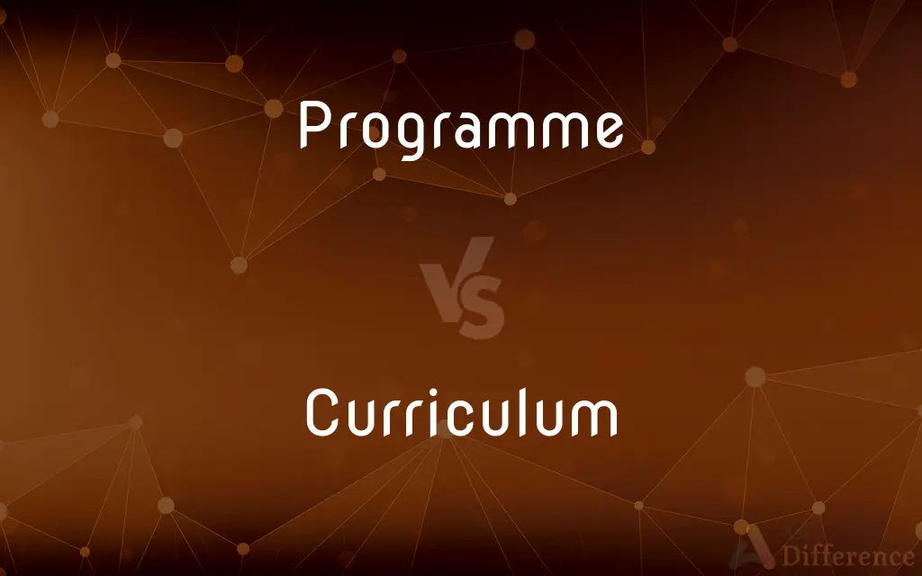 Programme Vs Curriculum What s The Difference 