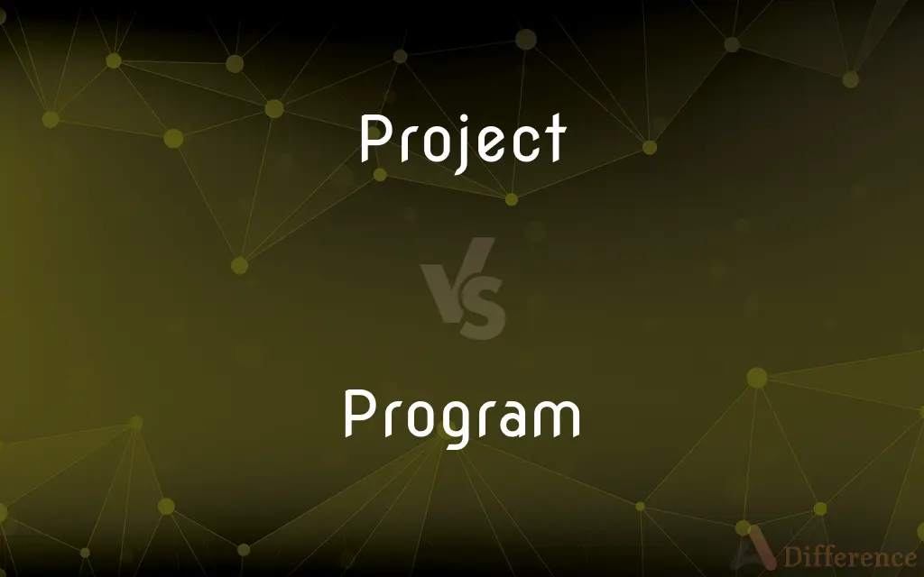 Project vs. Program — What's the Difference?