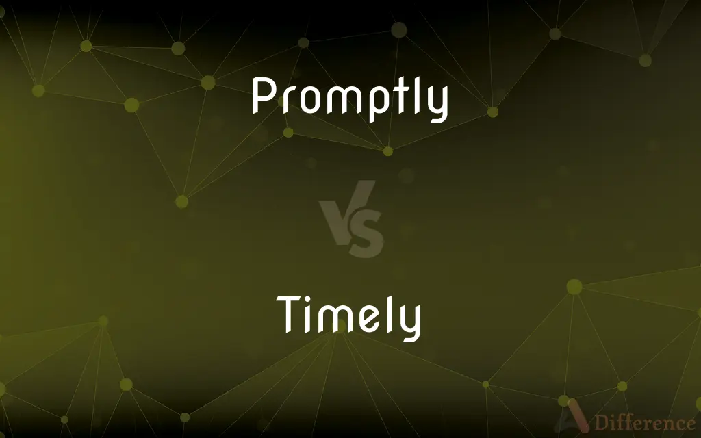 Promptly vs. Timely — What's the Difference?