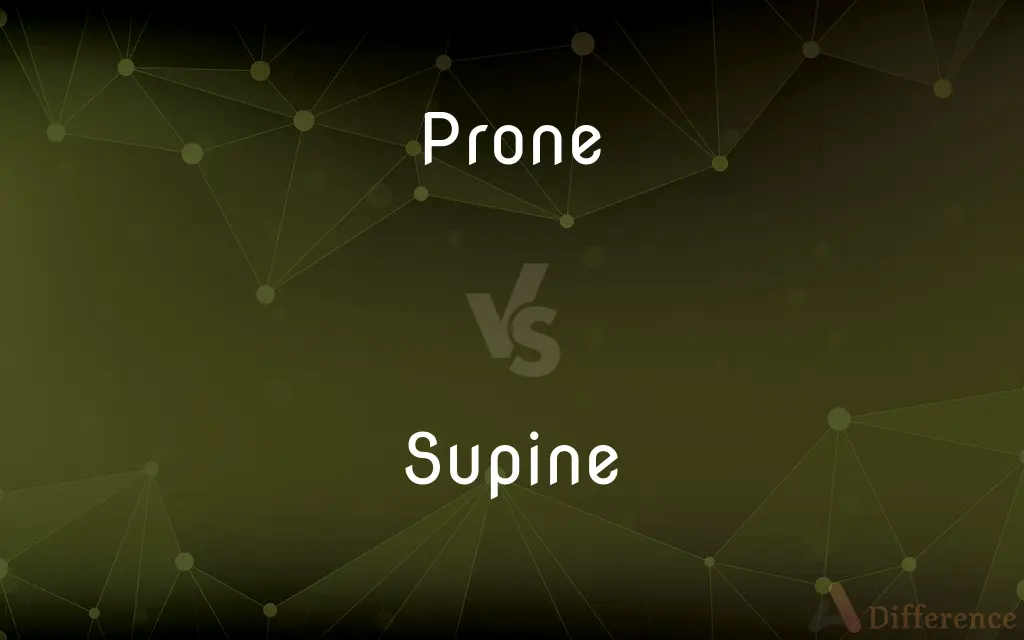 Prone vs. Supine — What's the Difference?