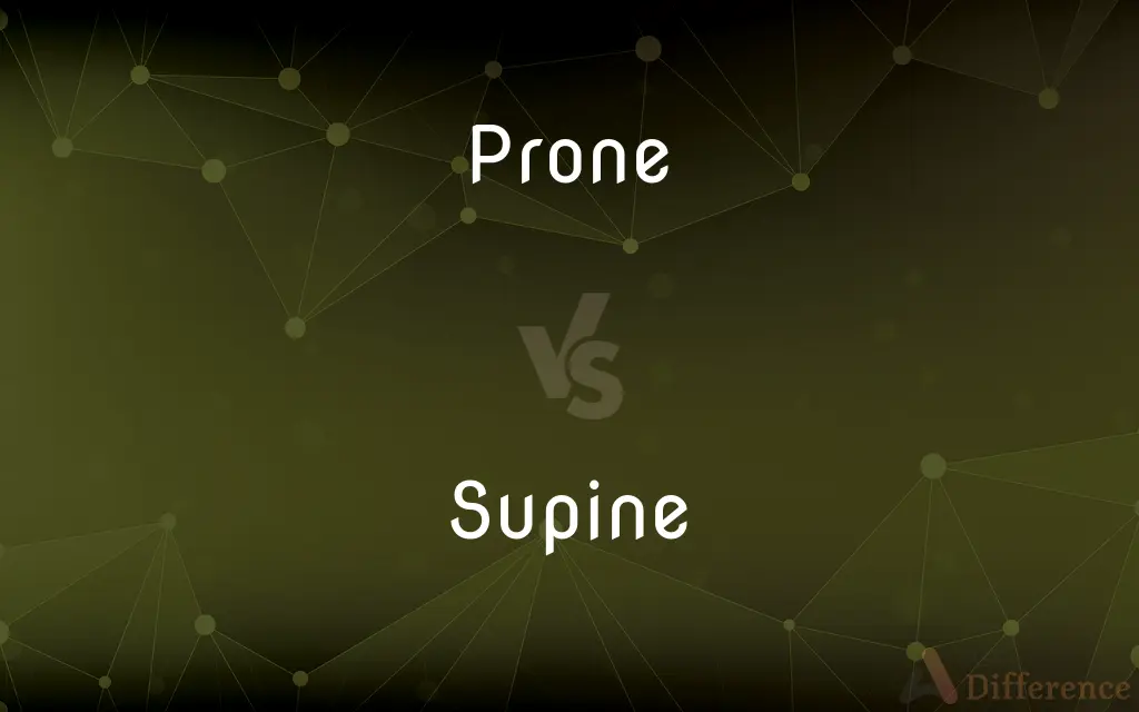 Prone vs. Supine: The Simple Difference