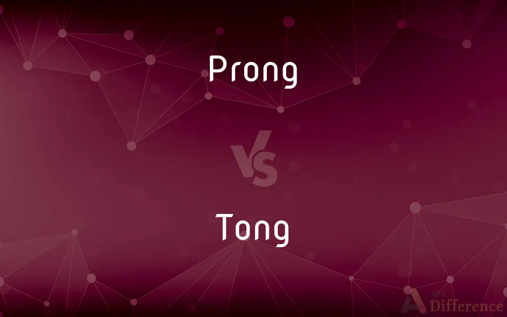 Prong vs. Tong — What's the Difference?