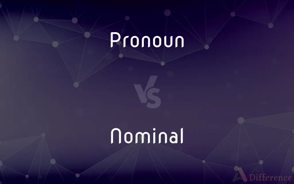 Pronoun vs. Nominal — What's the Difference?