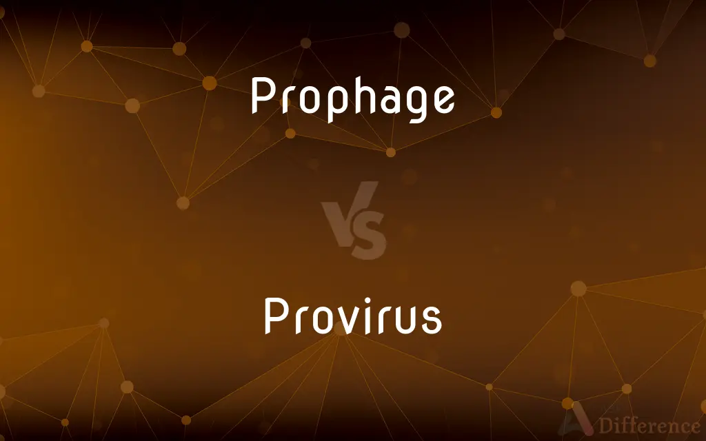 Prophage vs. Provirus — What's the Difference?