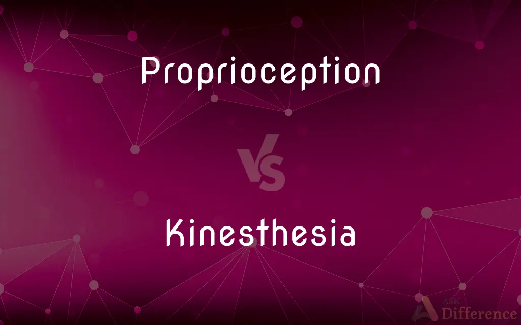 Proprioception vs. Kinesthesia — What's the Difference?