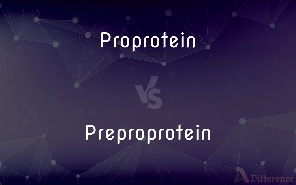 Proprotein vs. Preproprotein — What's the Difference?