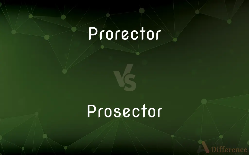 Prorector vs. Prosector — What's the Difference?