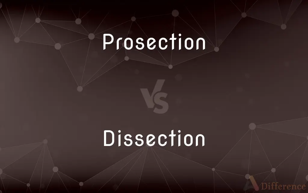 Prosection vs. Dissection — What's the Difference?