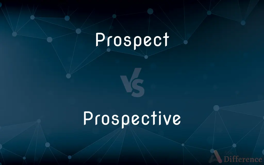 Prospect vs. Prospective — What's the Difference?