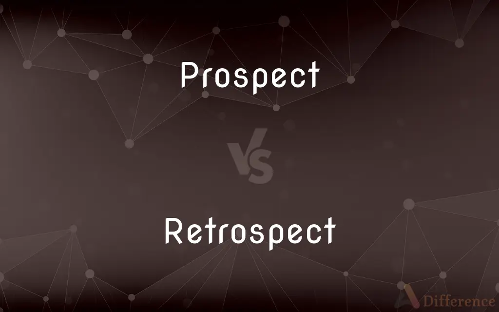 Prospect vs. Retrospect — What's the Difference?