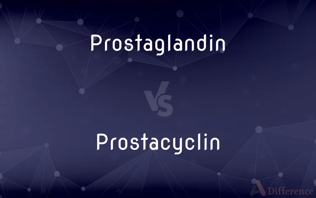 Prostaglandin vs. Prostacyclin — What's the Difference?