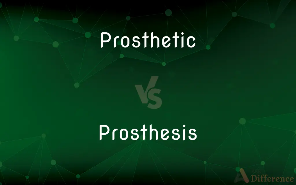 Prosthetic vs. Prosthesis — What's the Difference?