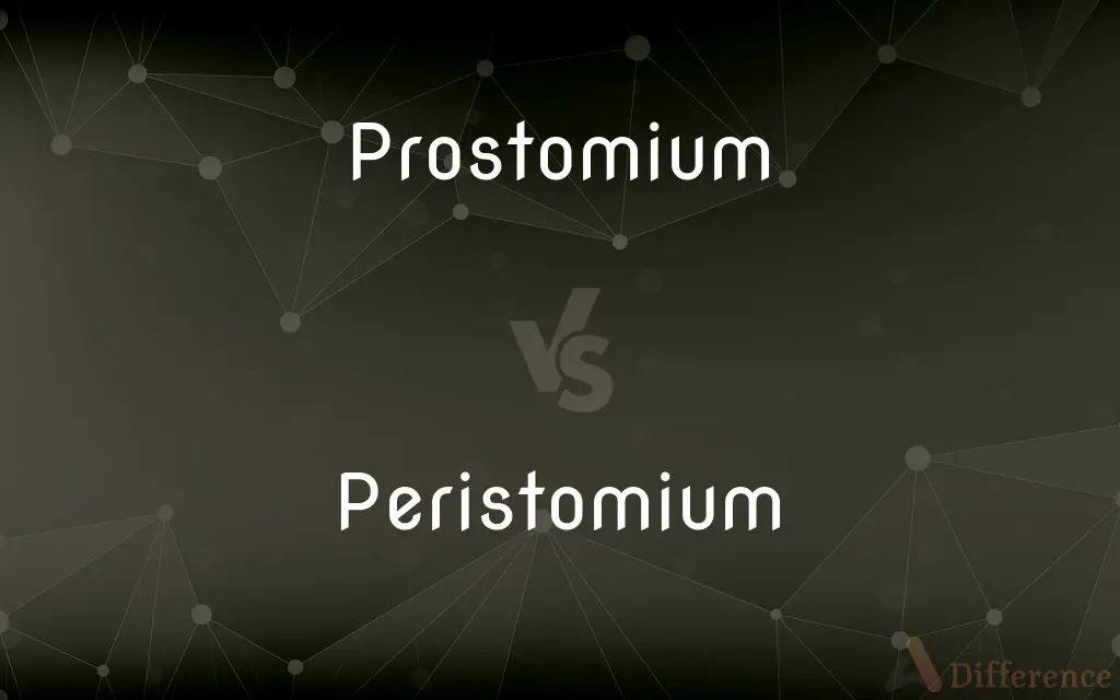 Prostomium vs. Peristomium — What's the Difference?