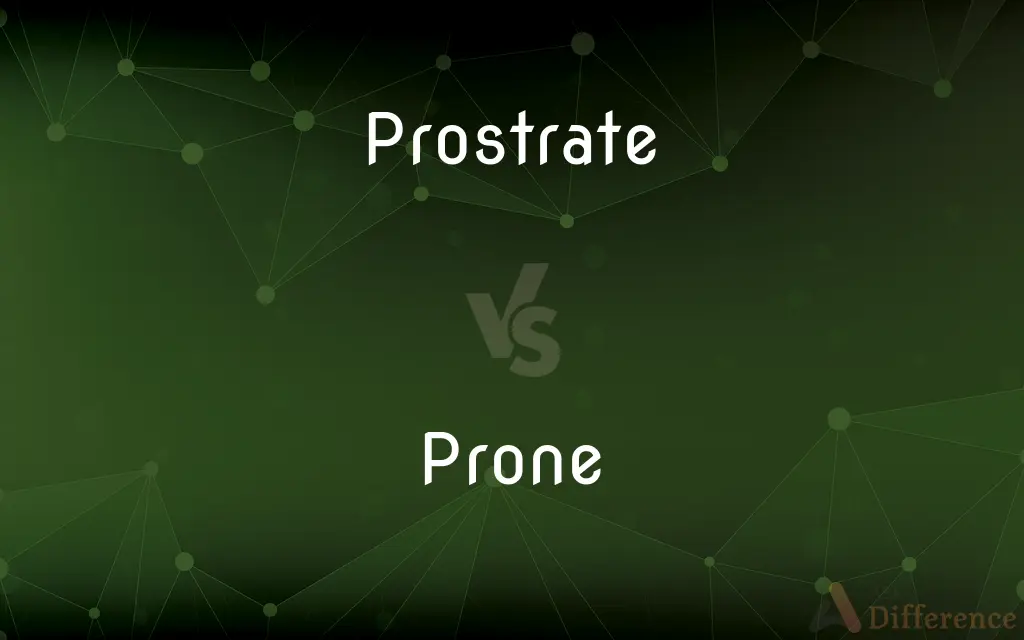 Prostrate vs. Prone — What's the Difference?