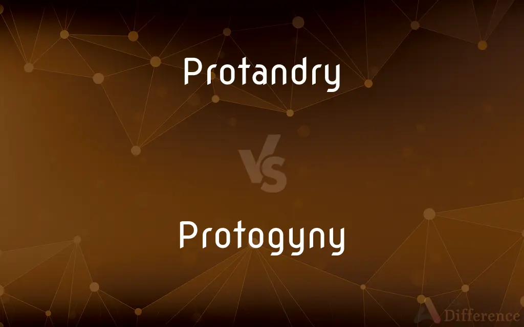 Protandry vs. Protogyny — What's the Difference?