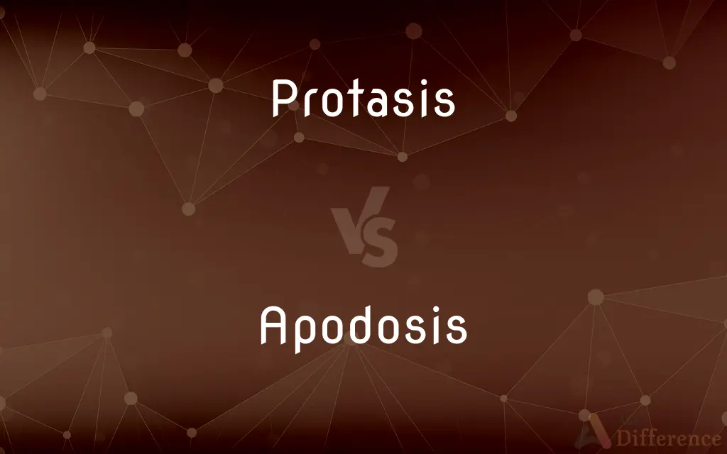 Protasis vs. Apodosis — What's the Difference?