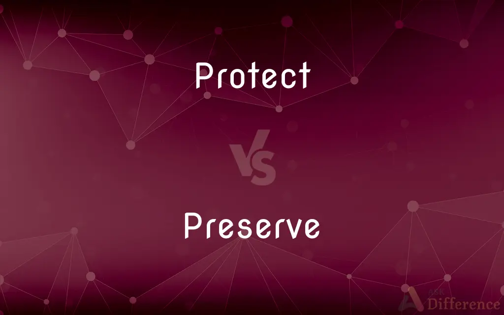 Protect vs. Preserve — What's the Difference?