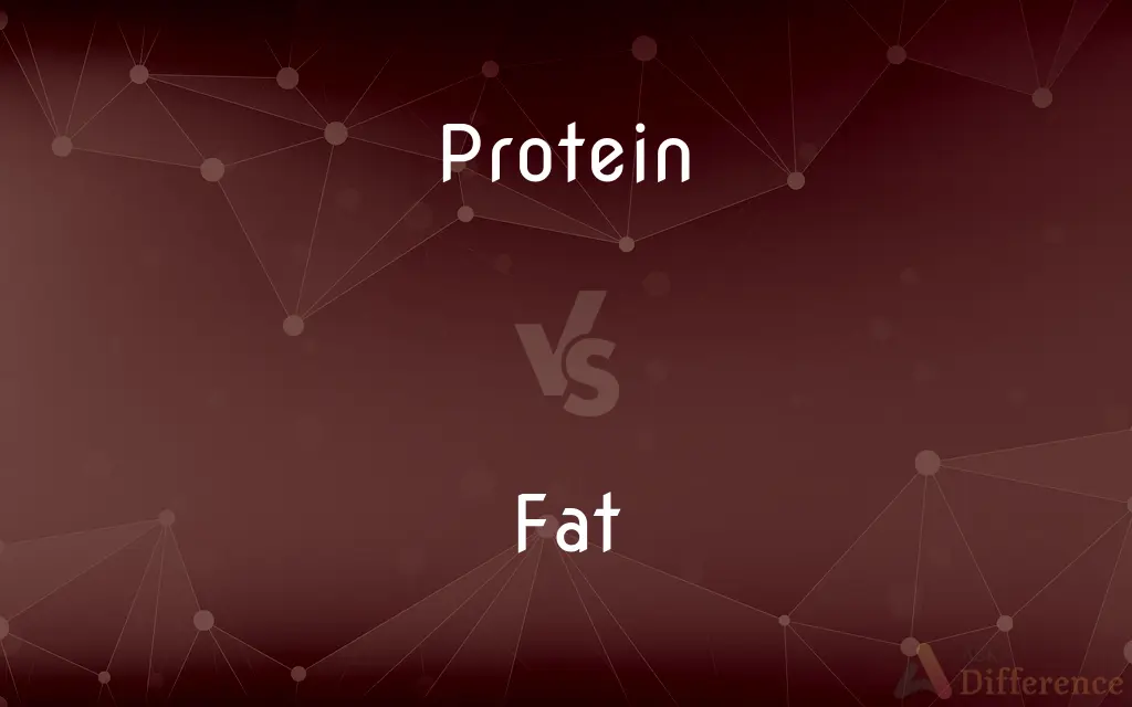 Protein vs. Fat — What's the Difference?