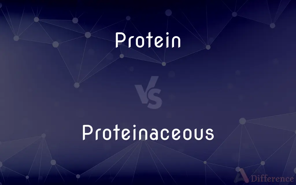 Protein vs. Proteinaceous — What's the Difference?