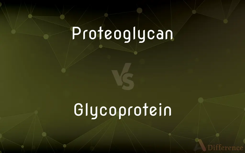 Proteoglycan vs. Glycoprotein — What's the Difference?