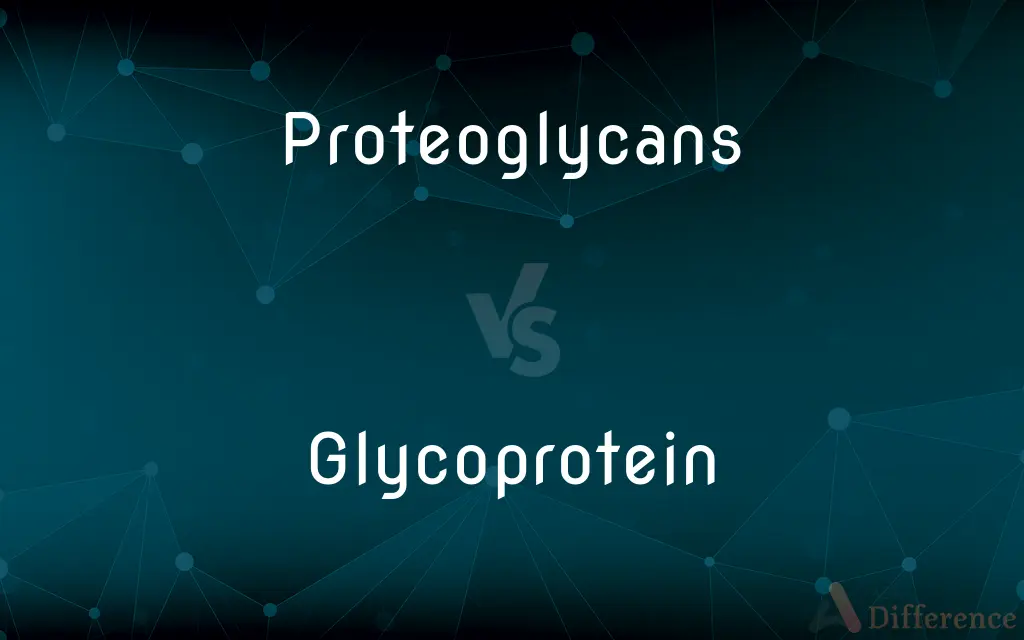 Proteoglycans vs. Glycoprotein — What's the Difference?