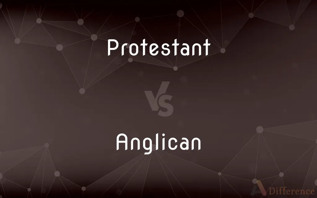 Protestant vs. Anglican — What's the Difference?