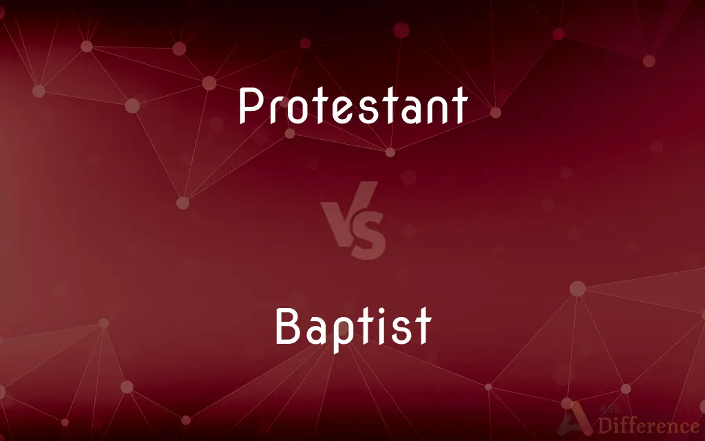 Protestant vs. Baptist — What's the Difference?