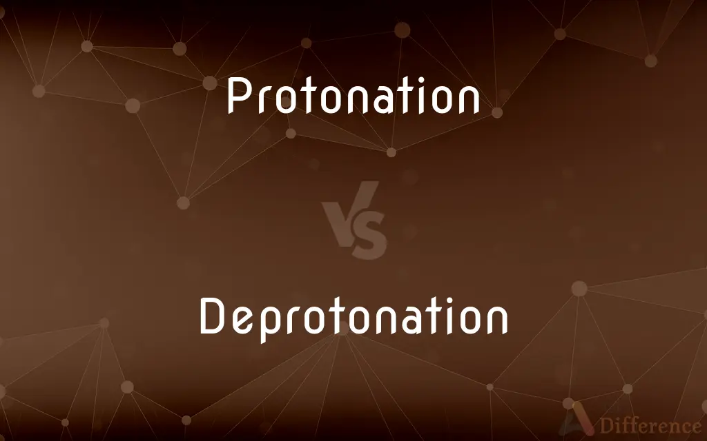 Protonation vs. Deprotonation — What's the Difference?