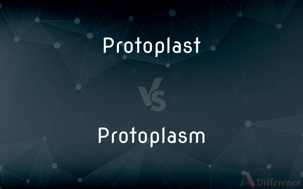 Protoplast vs. Protoplasm — What's the Difference?
