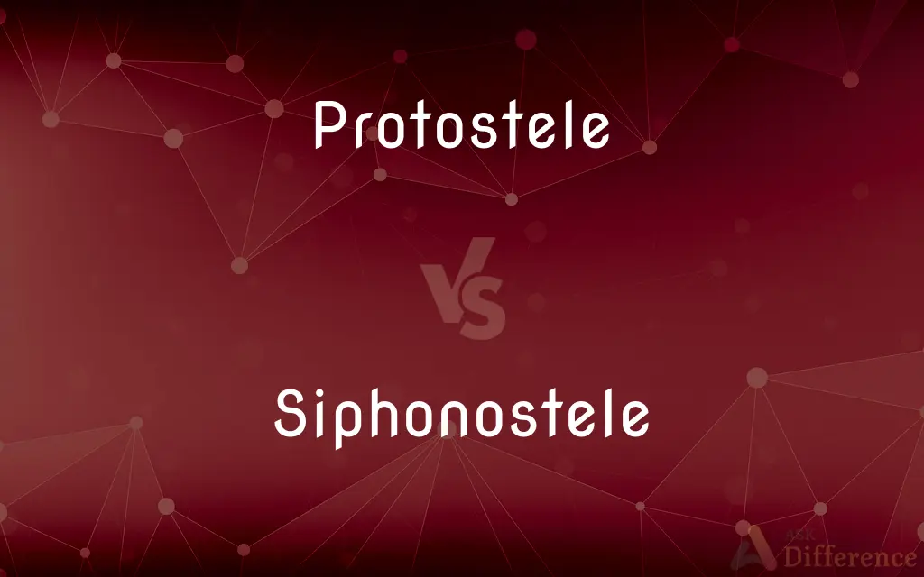 Protostele vs. Siphonostele — What's the Difference?