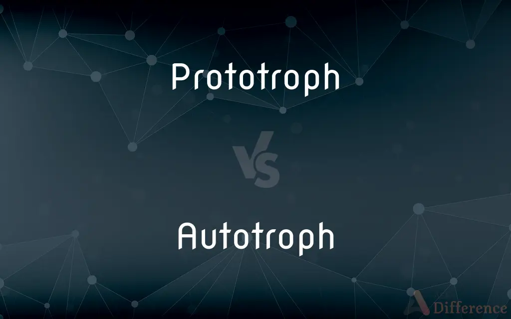 Prototroph vs. Autotroph — What's the Difference?