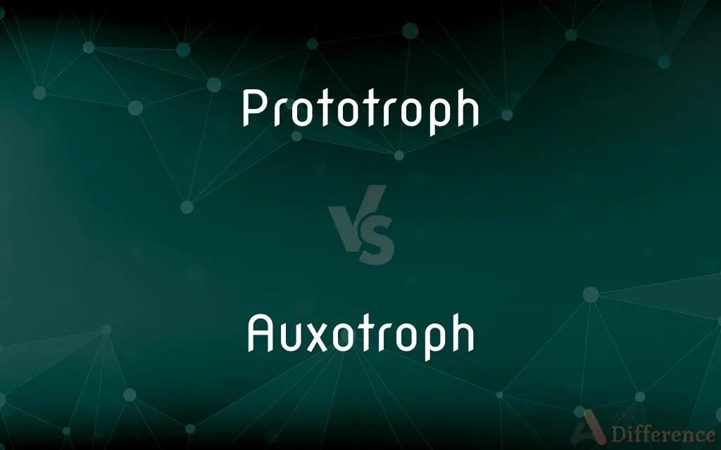 Prototroph vs. Auxotroph — What's the Difference?