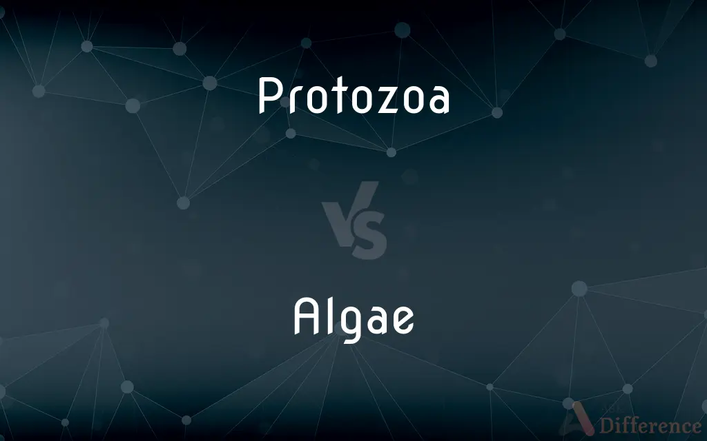Protozoa vs. Algae — What's the Difference?