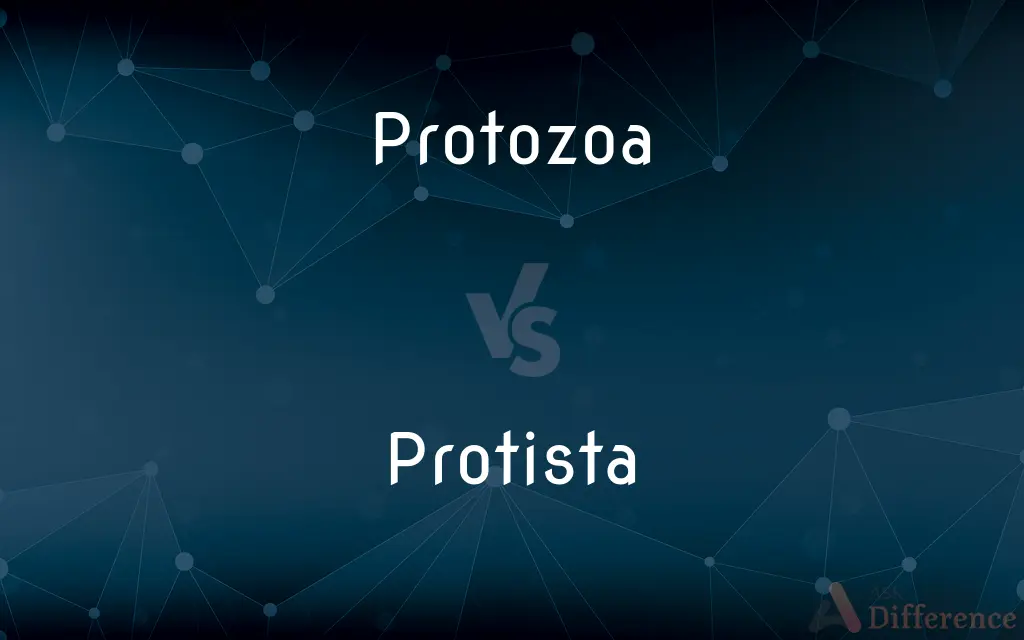 Protozoa vs. Protista — What's the Difference?