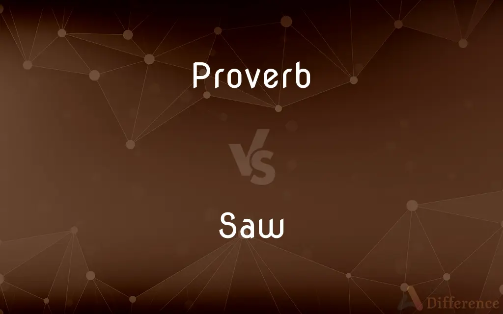 Proverb vs. Saw — What's the Difference?