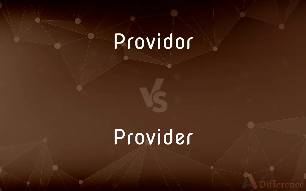 Providor vs. Provider — Which is Correct Spelling?