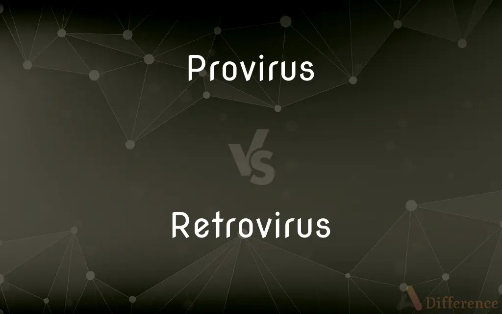 Provirus vs. Retrovirus — What's the Difference?