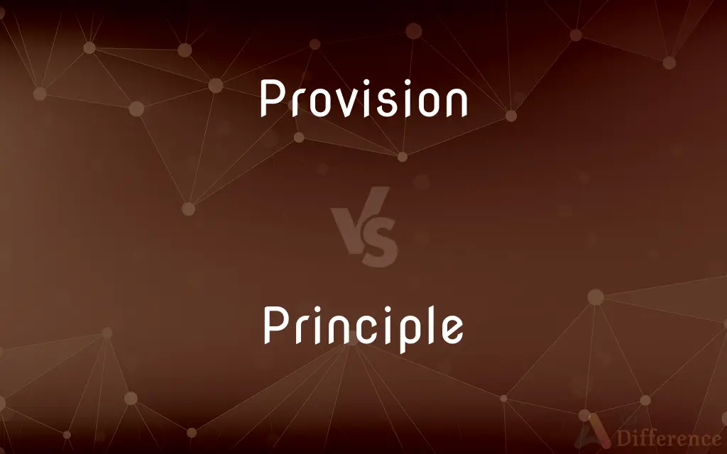 Provision vs. Principle — What's the Difference?