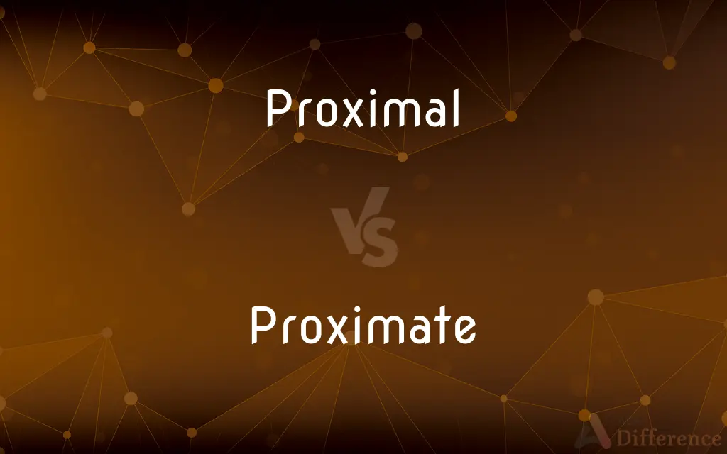 Proximal vs. Proximate — What's the Difference?