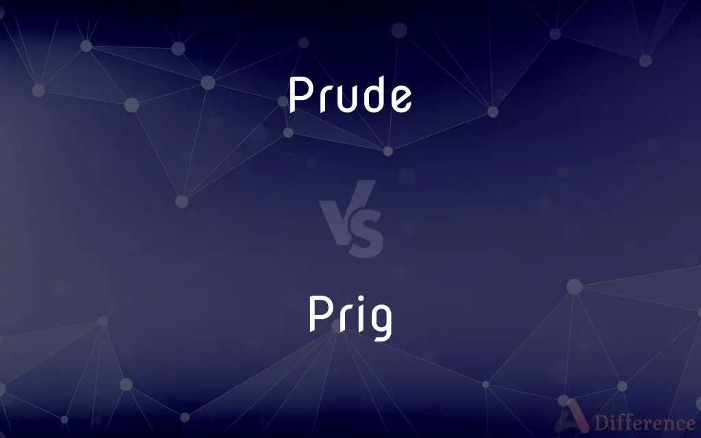 Prude vs. Prig — What's the Difference?