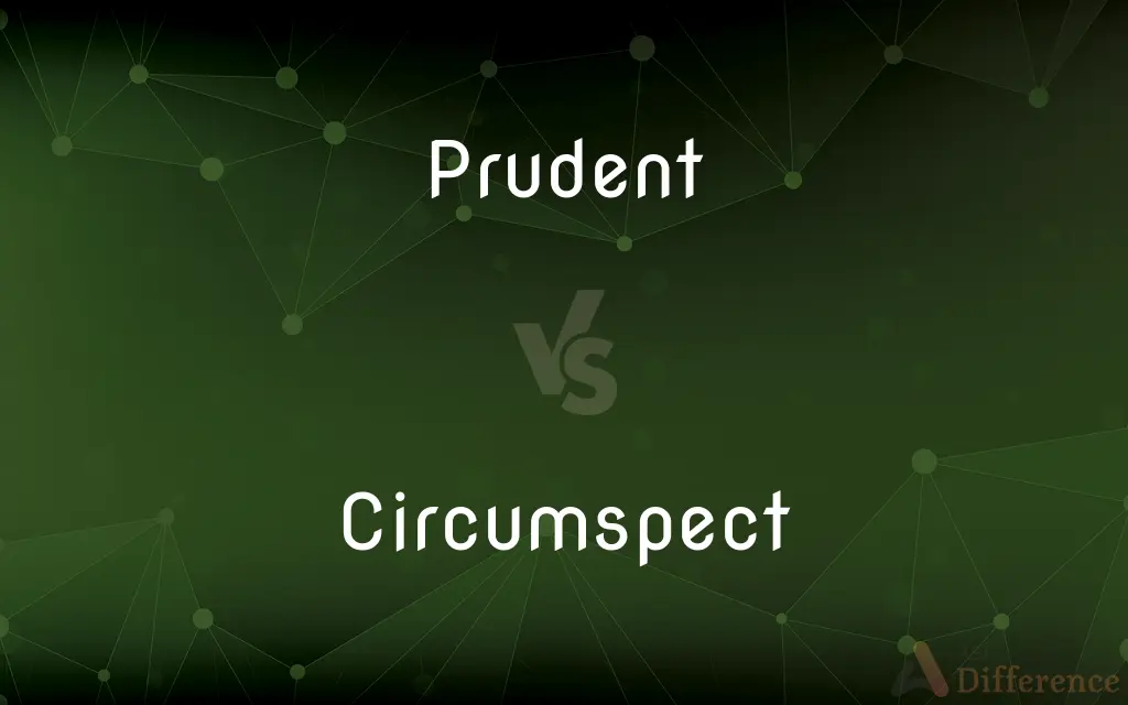 Prudent vs. Circumspect — What's the Difference?