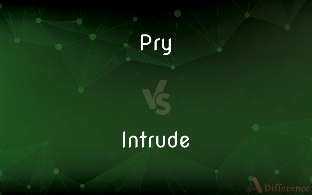 Pry vs. Intrude — What's the Difference?