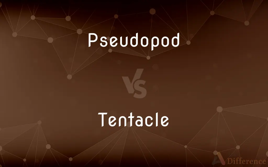 Pseudopod vs. Tentacle — What's the Difference?