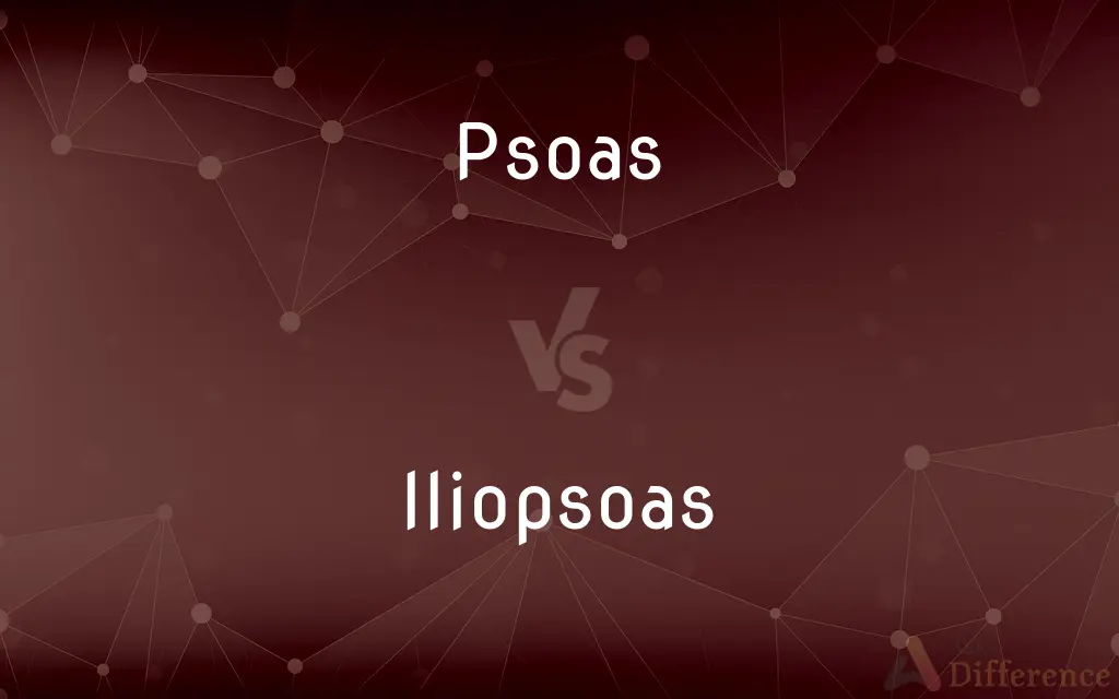 Psoas vs. Iliopsoas — What's the Difference?