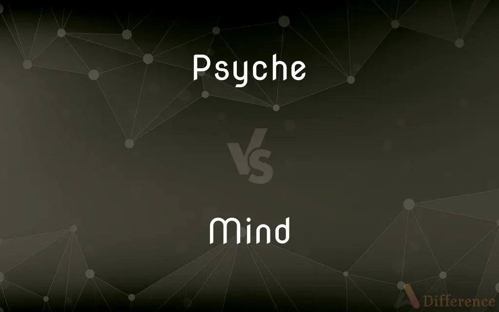 Psyche vs. Mind — What's the Difference?