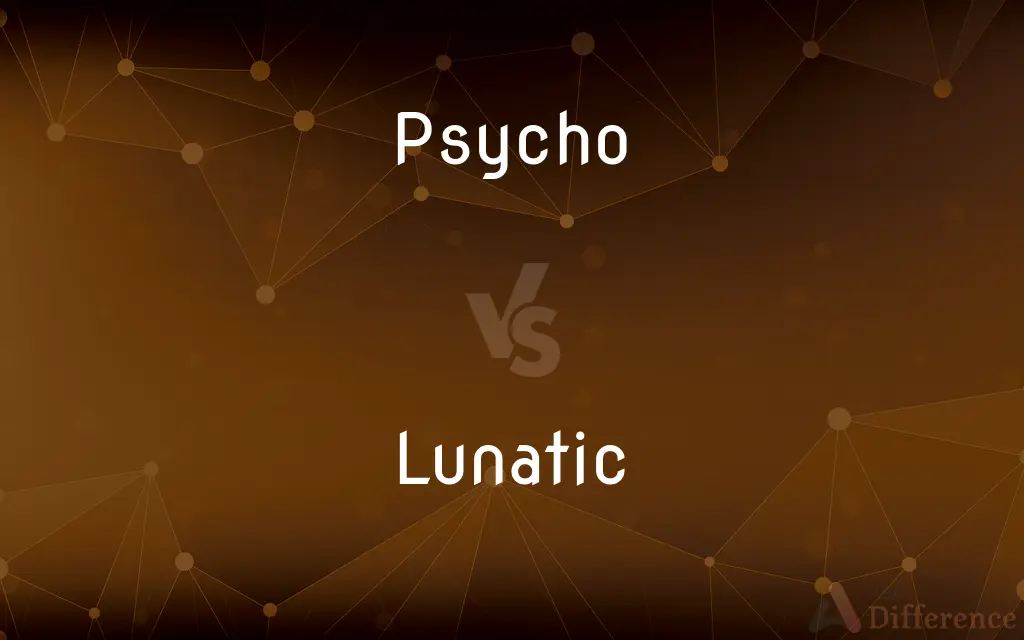 Psycho vs. Lunatic — What's the Difference?