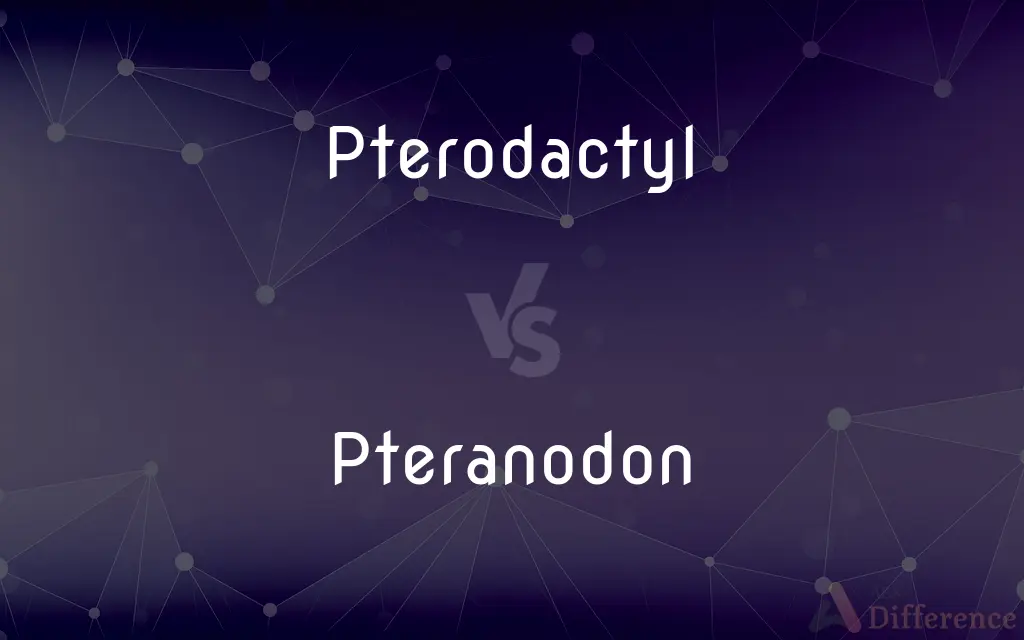 Pterodactyl vs. Pteranodon — What's the Difference?
